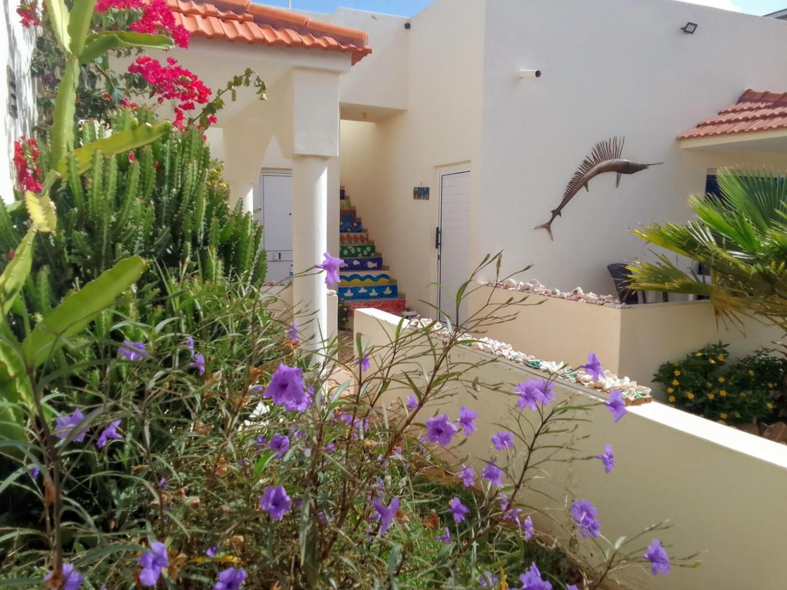 Cidade do Maio Casa Djarmai Boutique Apartments מראה חיצוני תמונה